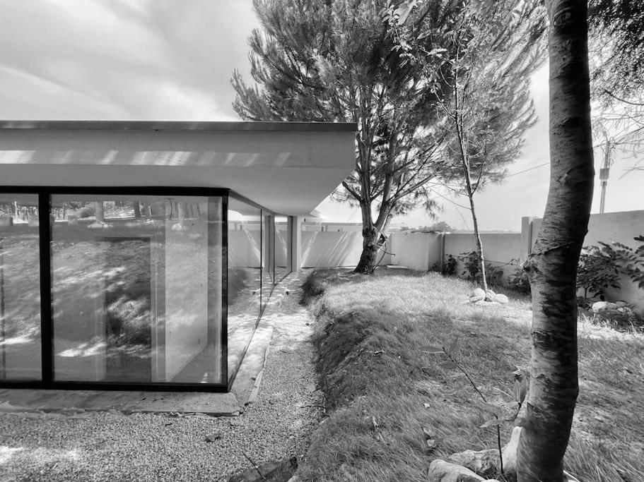 Casa Do Carvalhal - Quinta Do Soldado Villa Alquerubim Eksteriør bilde
