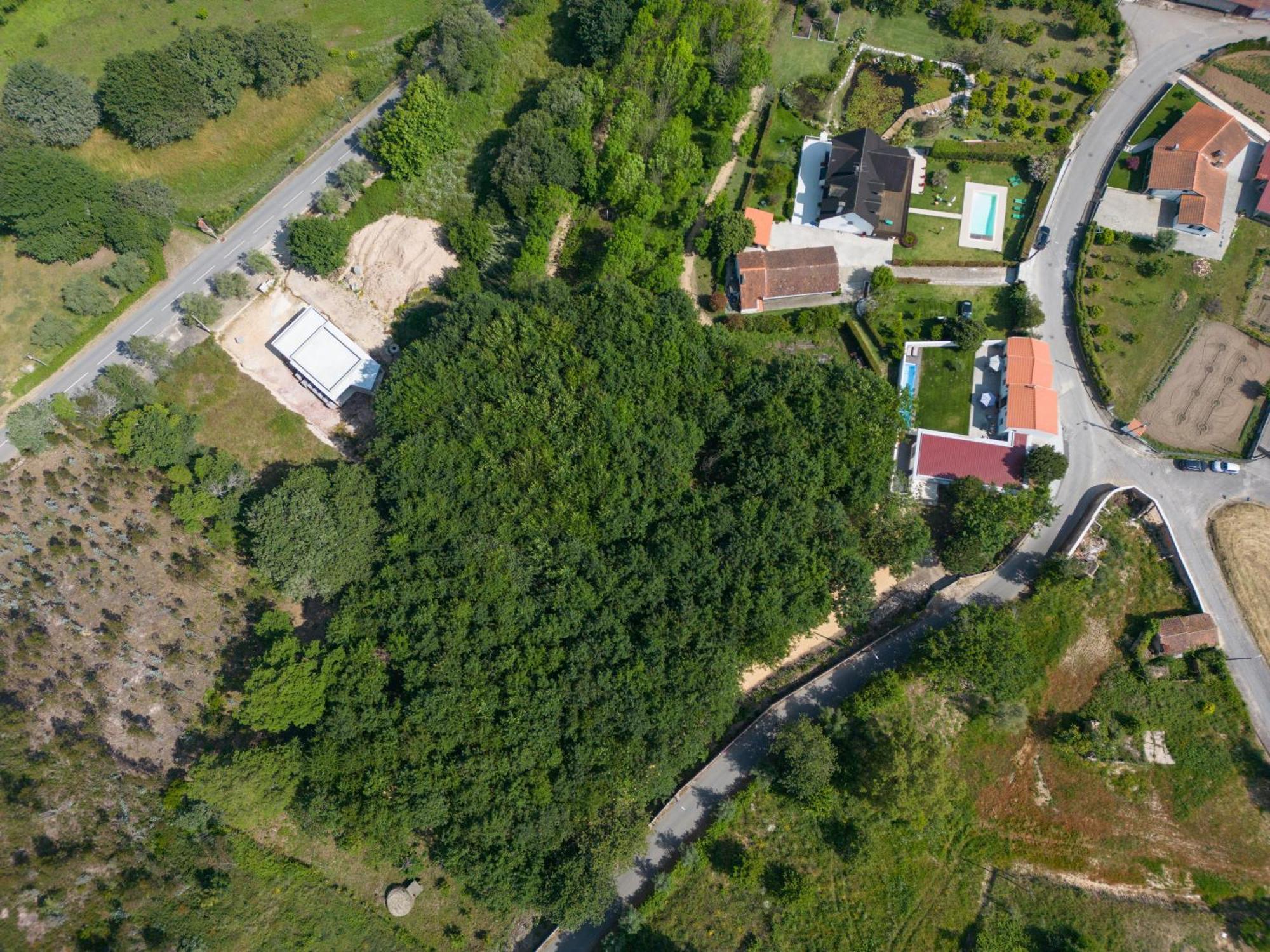 Casa Do Carvalhal - Quinta Do Soldado Villa Alquerubim Eksteriør bilde